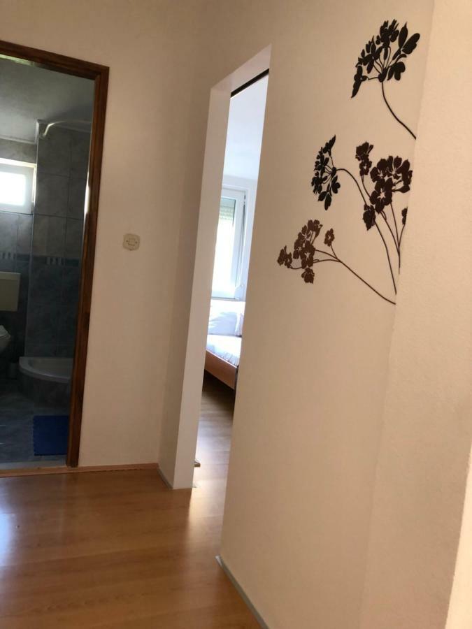 Apartman Polegubic 비오그라드나모루 외부 사진